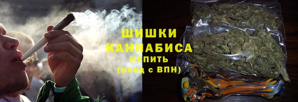 прущие грибы Абаза