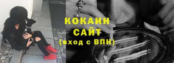 твердый Няндома