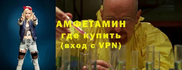 прущие грибы Абаза