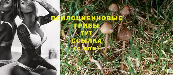 mdpv Абинск